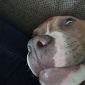 Meet your Posher, Jayla